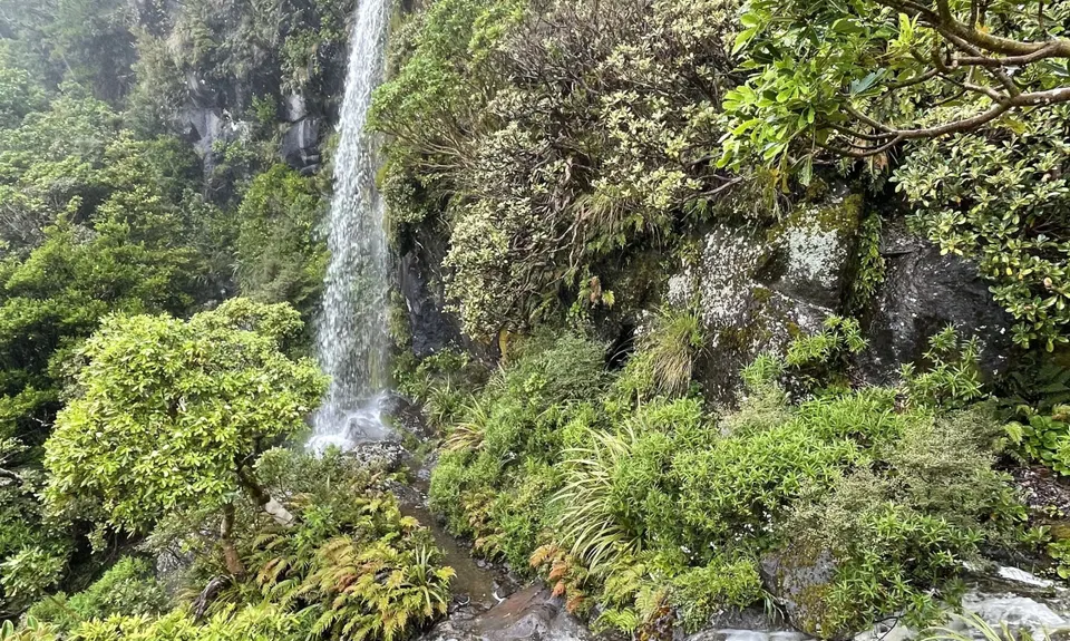 Kokowai Loop, Taranaki