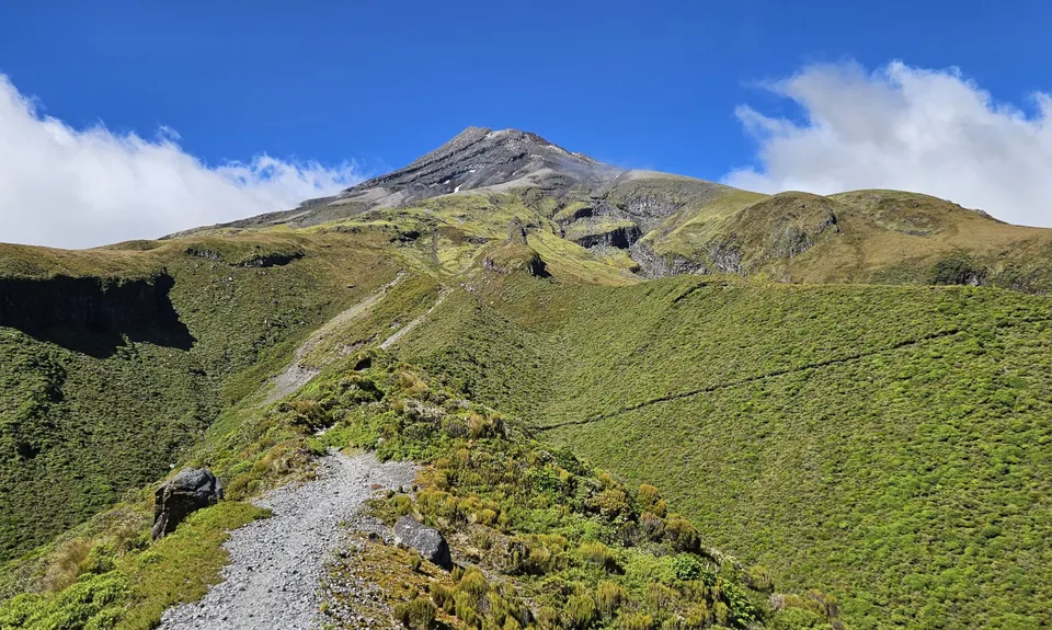 Kokowai Loop, Taranaki