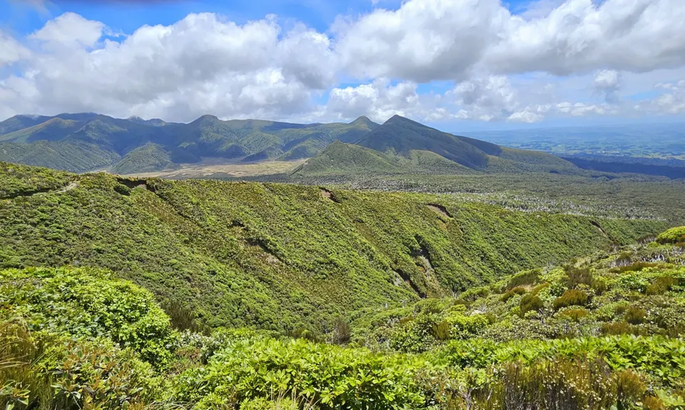 Kokowai Loop, Taranaki