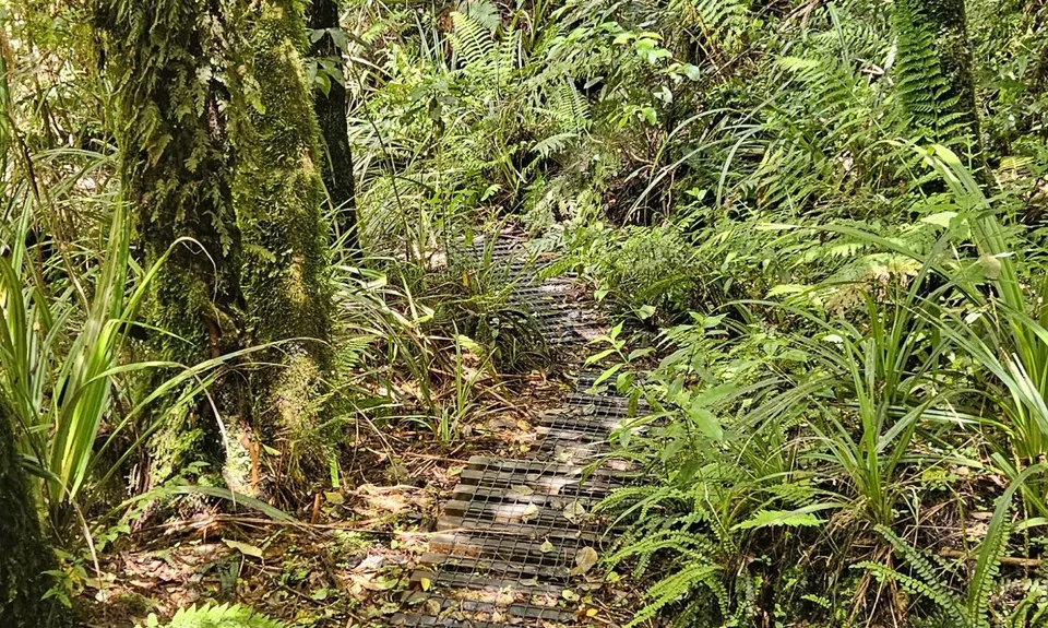 Kokowai Loop, Taranaki