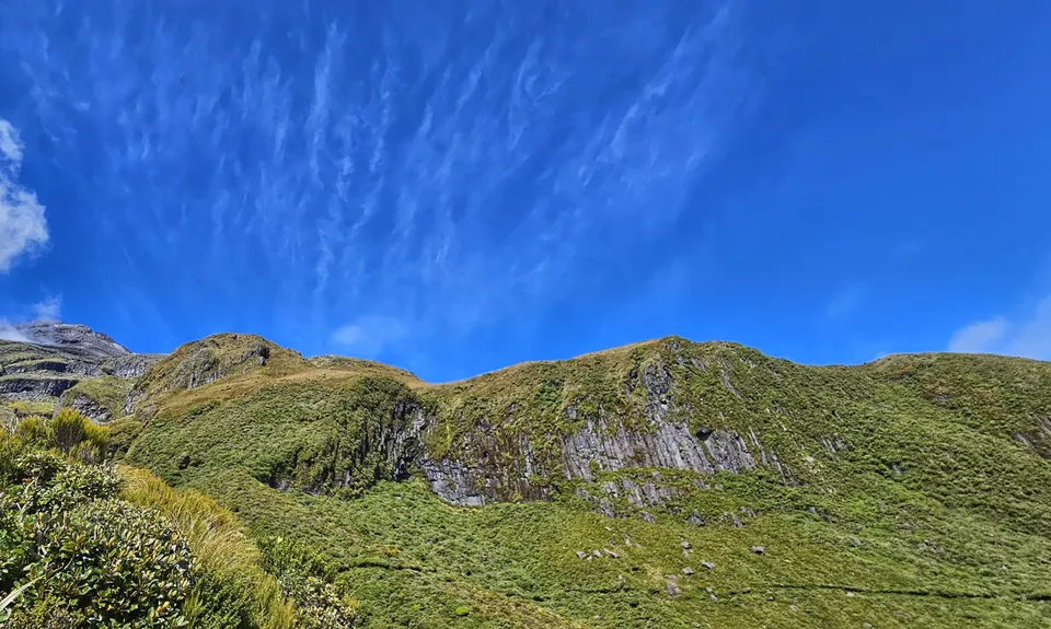 Kokowai Loop, Taranaki
