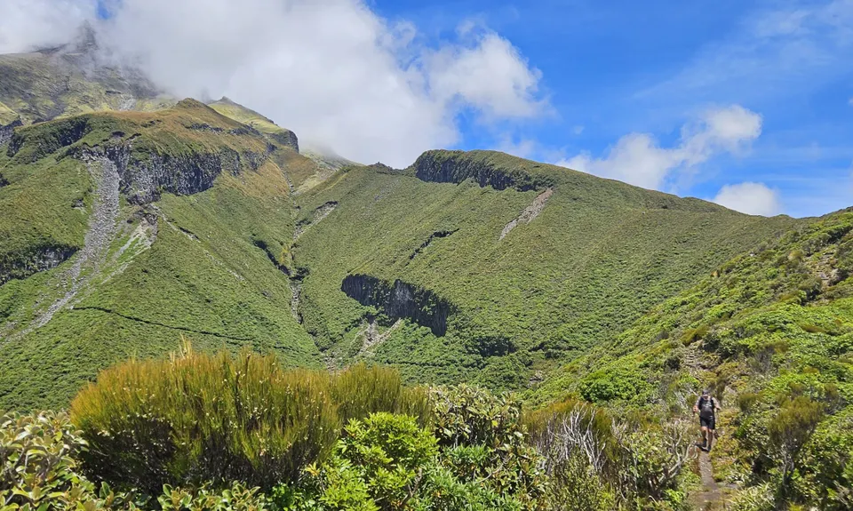 Kokowai Loop, Taranaki