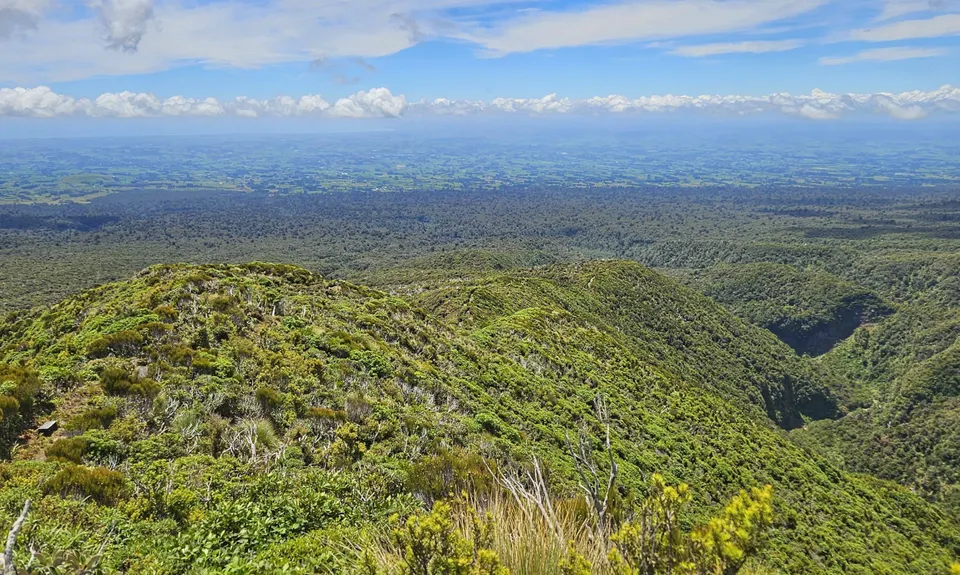 Kokowai Loop, Taranaki