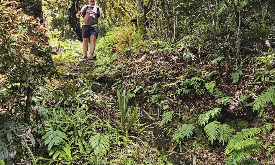 Kokowai Loop, Taranaki