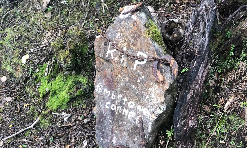 Murray Creek / Konini Track Loop, West Coast