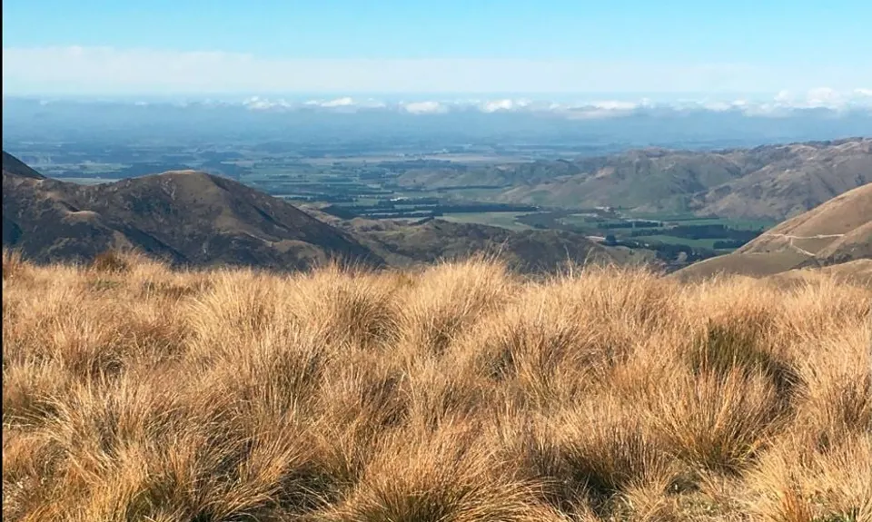 Korowai-Torlesse Roller Coaster, Canterbury