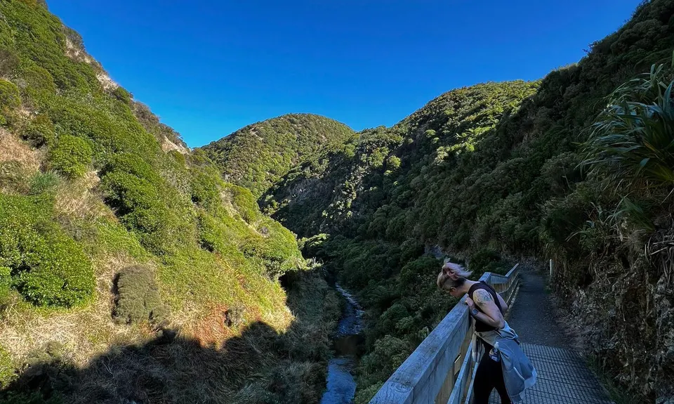 Korokoro Belmont trig loop via Bridleway, Wellington