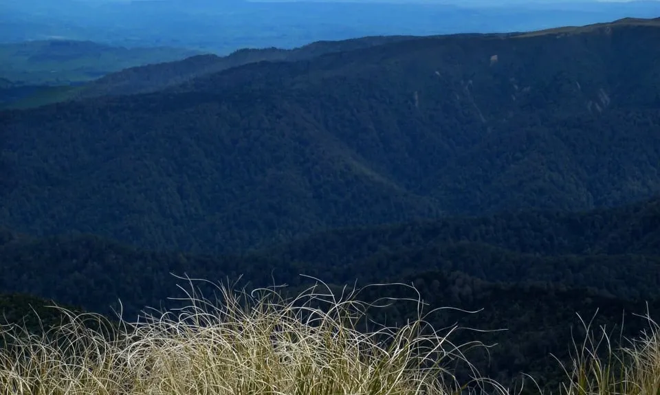 Ngamoko Range Traverse, Manawatu - Wanganui