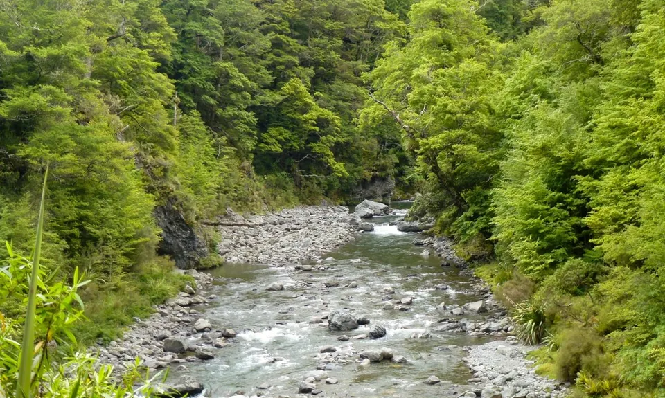 Ngamoko Range Traverse, Manawatu - Wanganui