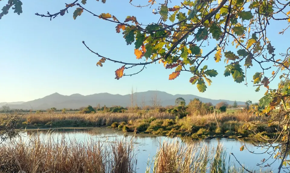 Lagoon-a-Seeker, Marlborough