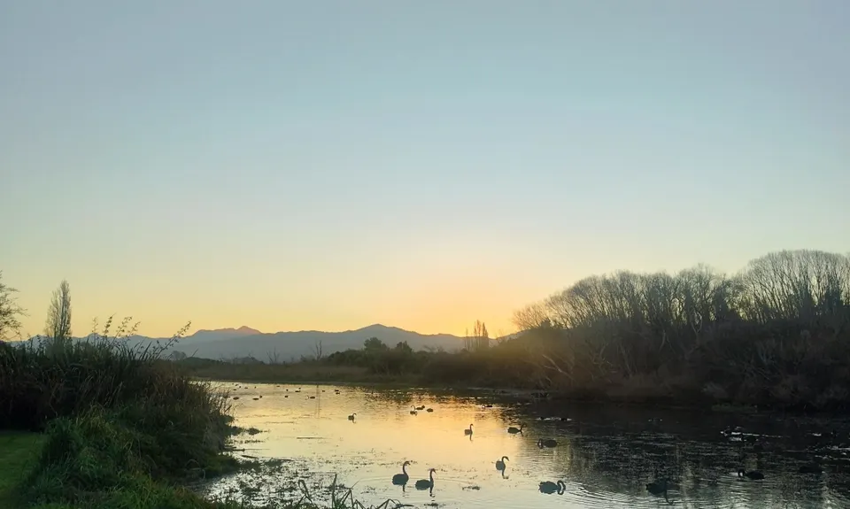 Lagoon-a-Seeker, Marlborough
