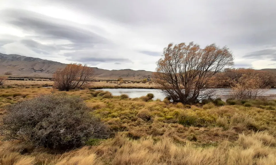 Tekapo Lagoon Loop , Canterbury