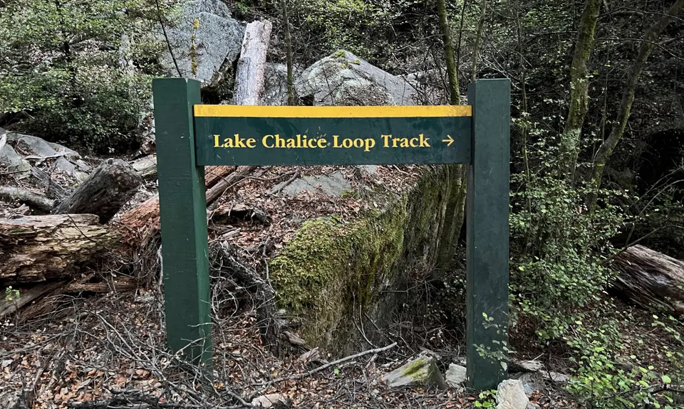 Lake Chalice loop, Marlborough