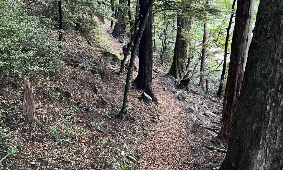 Lake Chalice loop, Marlborough