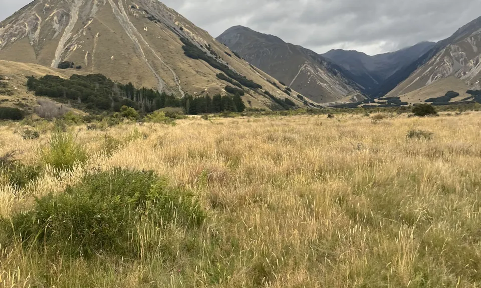 Lake Lilian Track, Canterbury