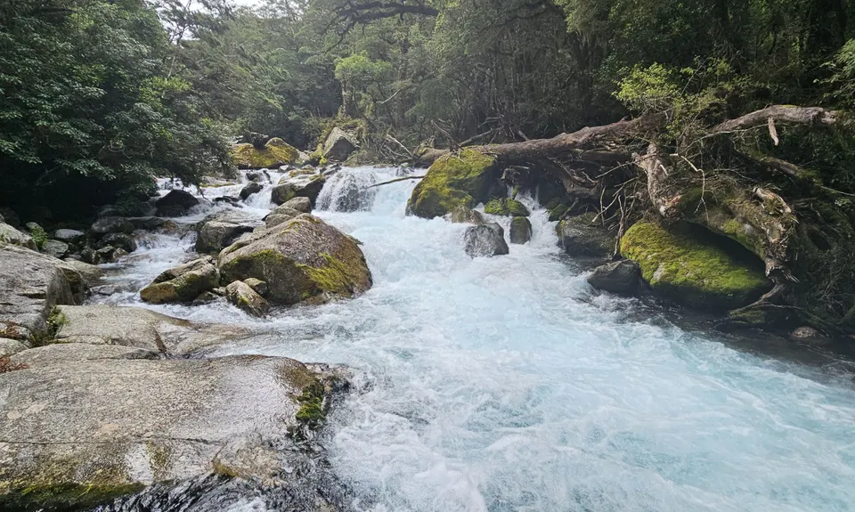Lake Marian Meander, Southland