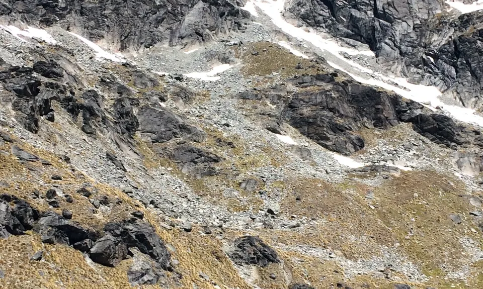 Remarkable Run, Otago