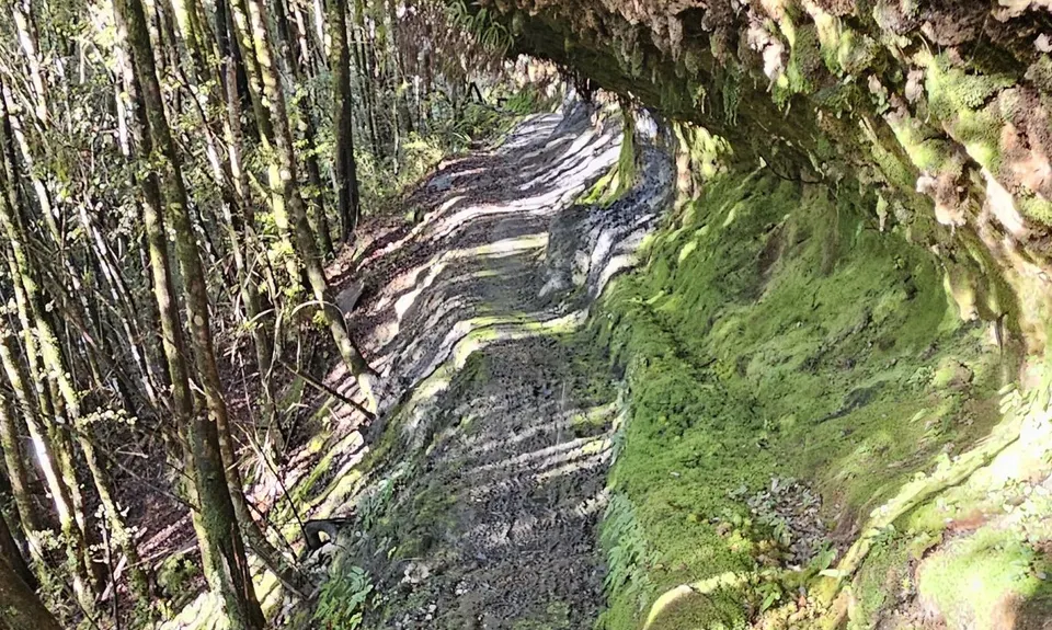 Lankeys Creek Loop, West Coast