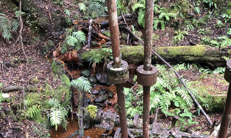 Lankeys Creek Loop, West Coast