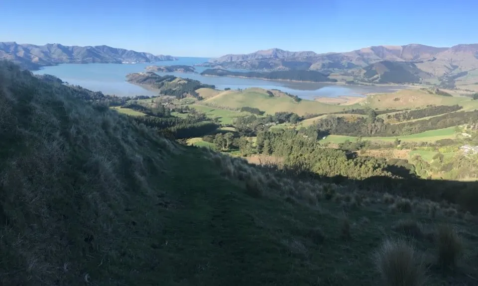 Living Springs Loop, Canterbury