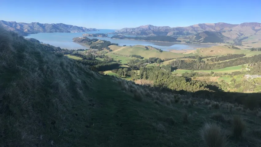 Living Springs Loop, Canterbury