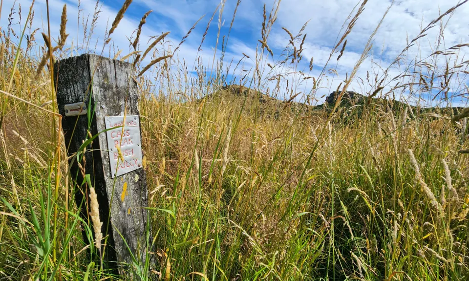 Living Springs Loop, Canterbury