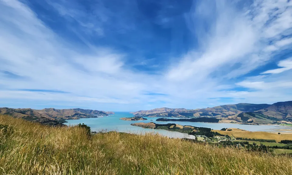 Living Springs Loop, Canterbury