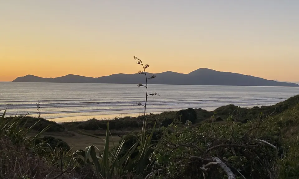 Lizzie's Loop, Wellington