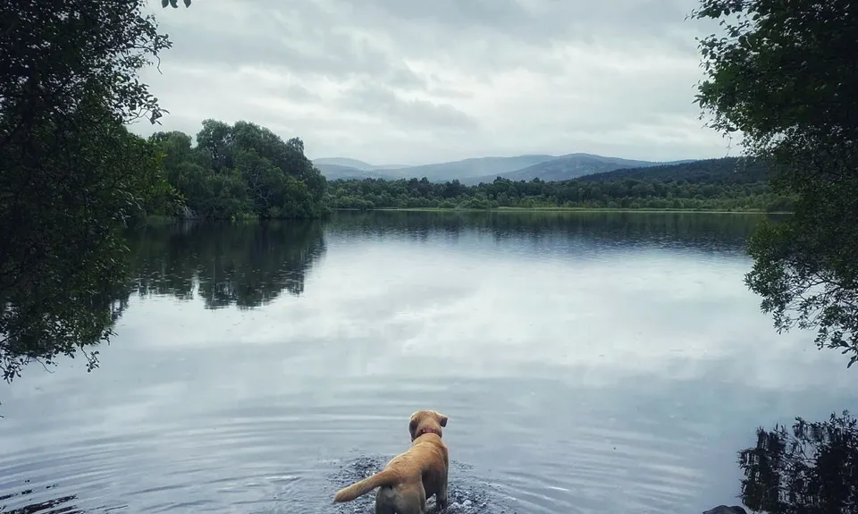 Loch Kinord and Burn O Vat , Scotland