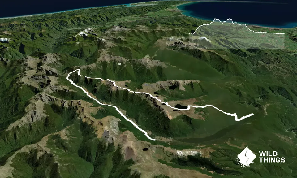 Lockett loopish, Tasman