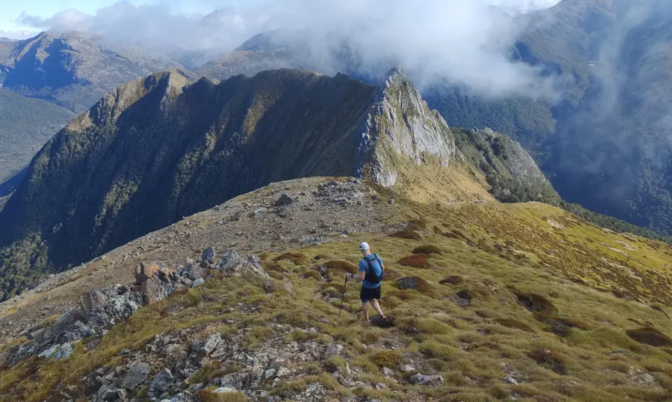 Lockett loopish, Tasman