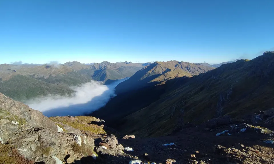 Lockett loopish, Tasman