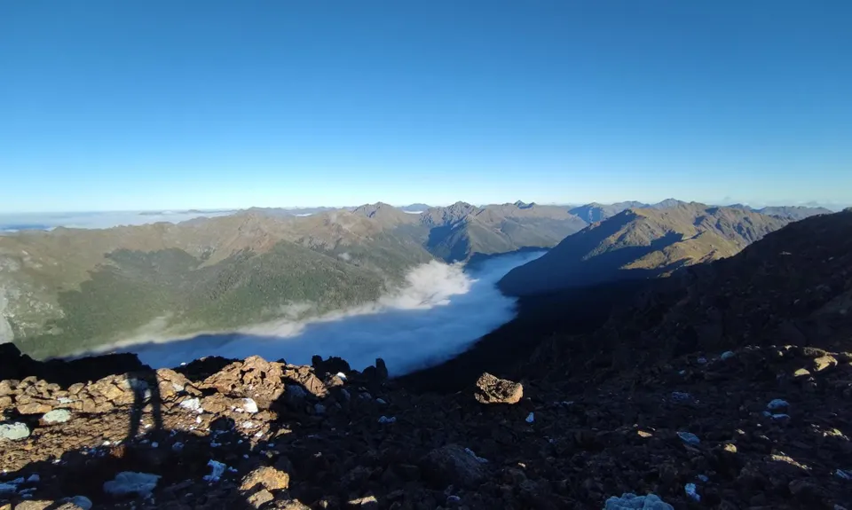 Lockett loopish, Tasman