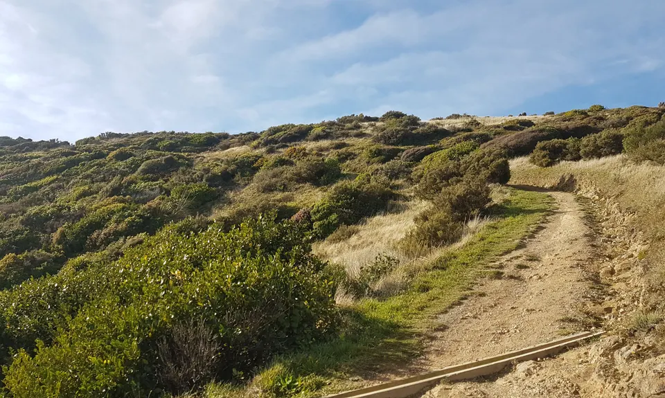 Belmont Tadpole Loop, Wellington