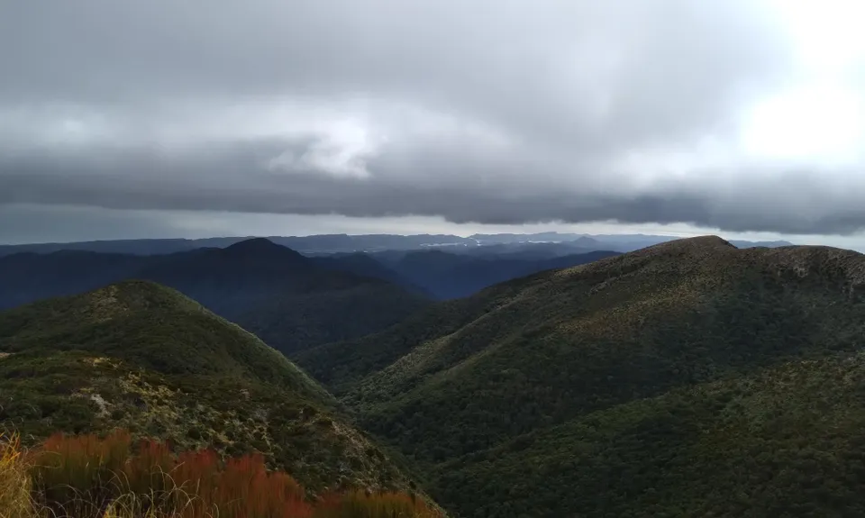 The Extra Five Metres, Tasman