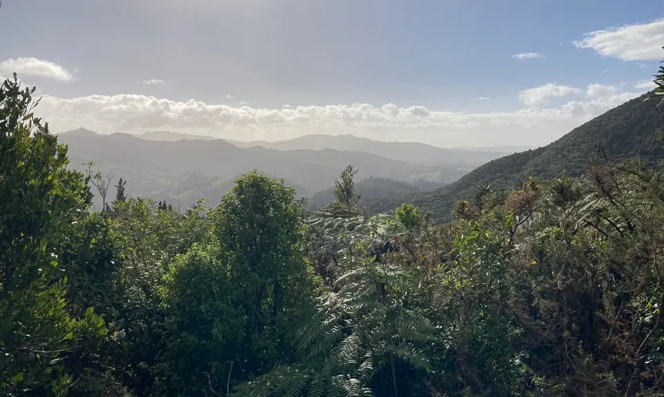 Karangahake Mountain Run, Bay of Plenty