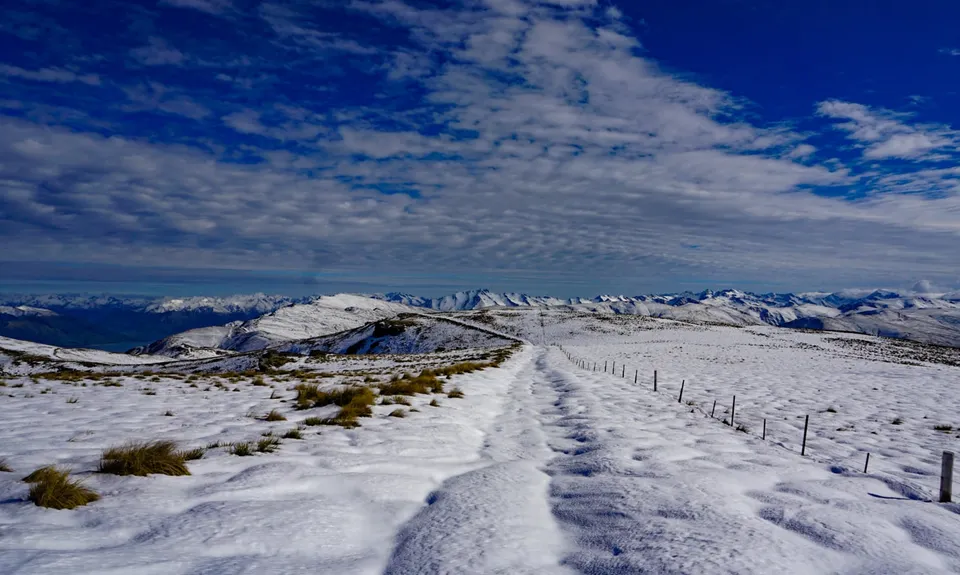 Big Breast Loop, Otago