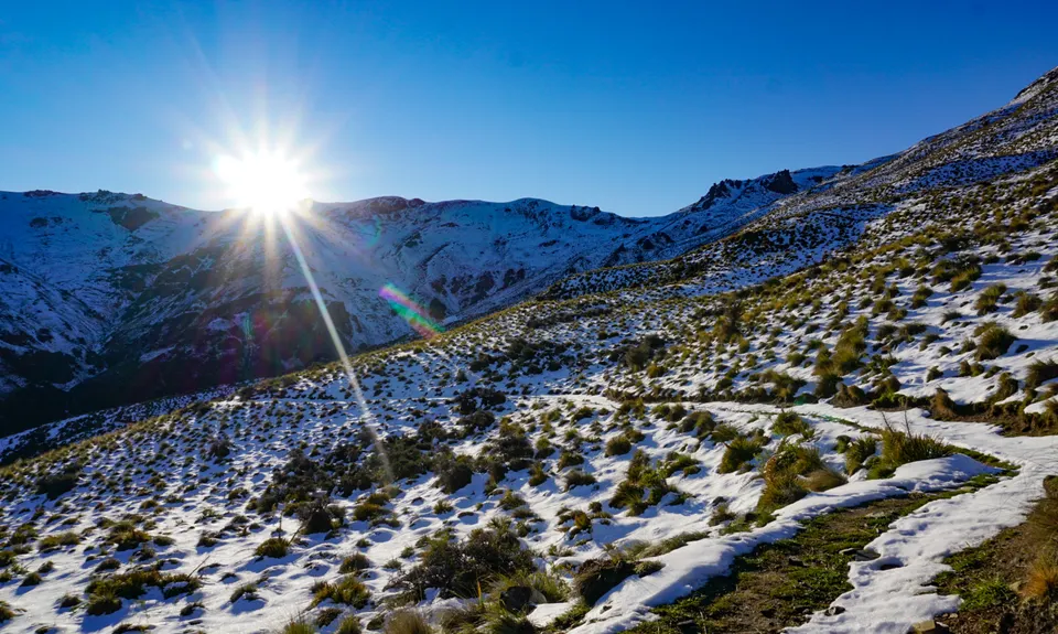 Big Breast Loop, Otago