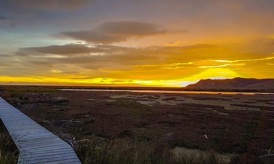 Wairau Lagoons Loop, Marlborough