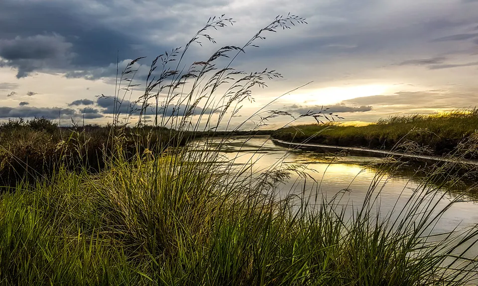 Wairau Lagoons Loop, Marlborough