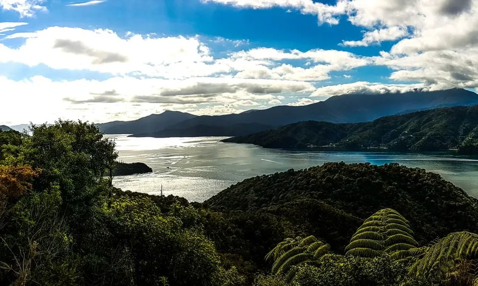 QCT - Anakiwa to Te Mahia , Marlborough