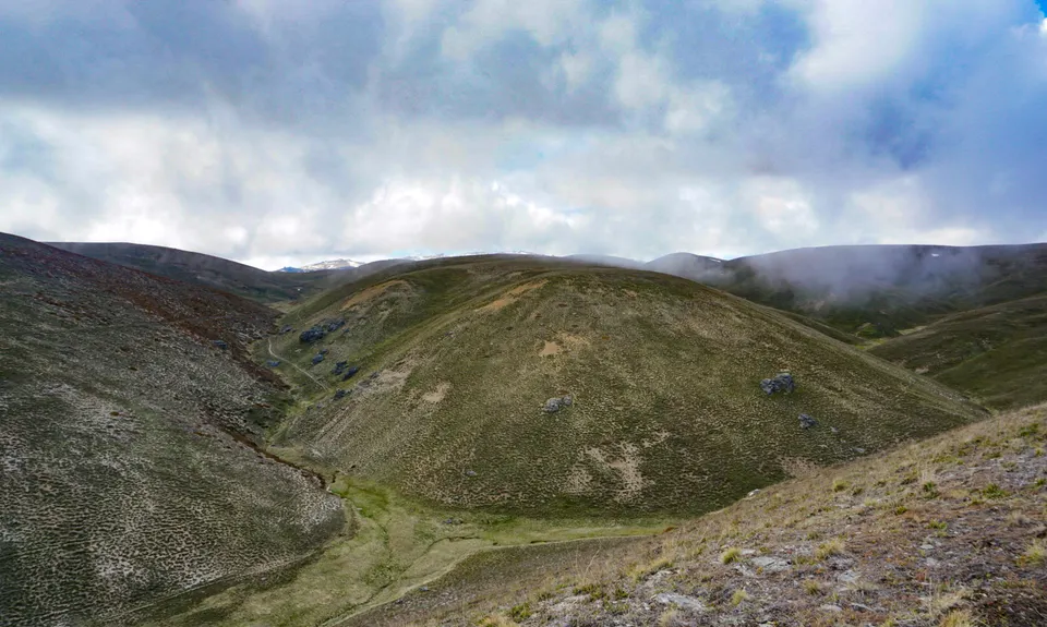Little Criffel from the Larches, Otago