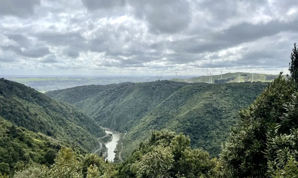 Manawatu Gorge Track, Manawatu - Wanganui