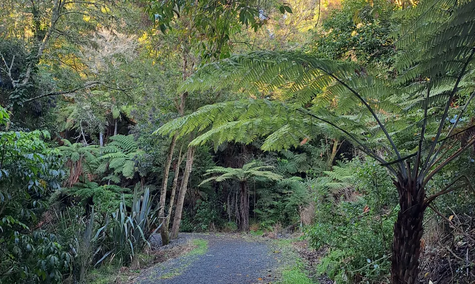 Mangaonua Mish, Waikato