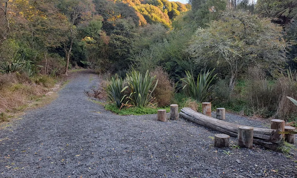 Mangaonua Mish, Waikato