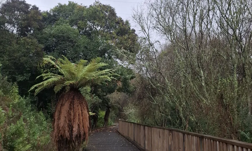 Mangaonua Mish, Waikato