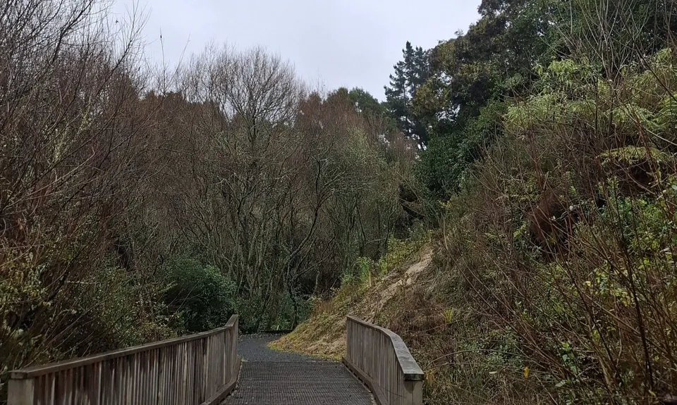 Mangaonua Mish, Waikato