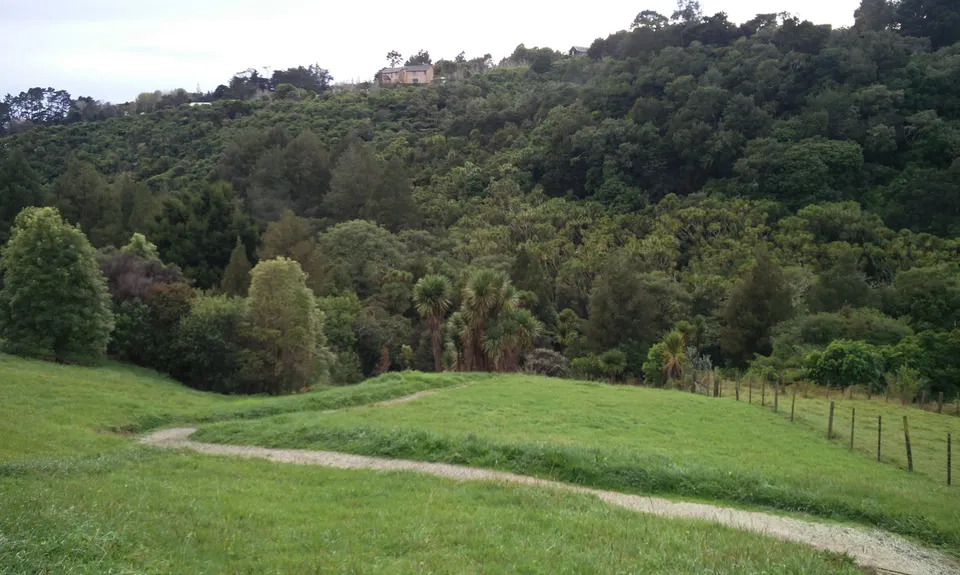 Mangemangeroa Track, Auckland