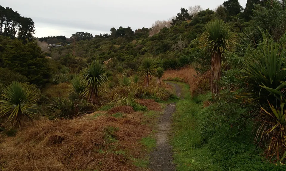 Mangemangeroa Track, Auckland
