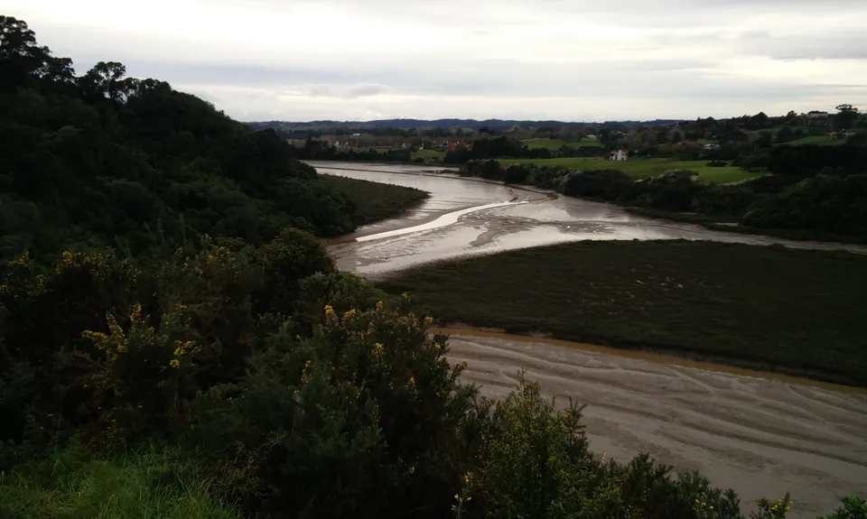 Mangemangeroa Track, Auckland